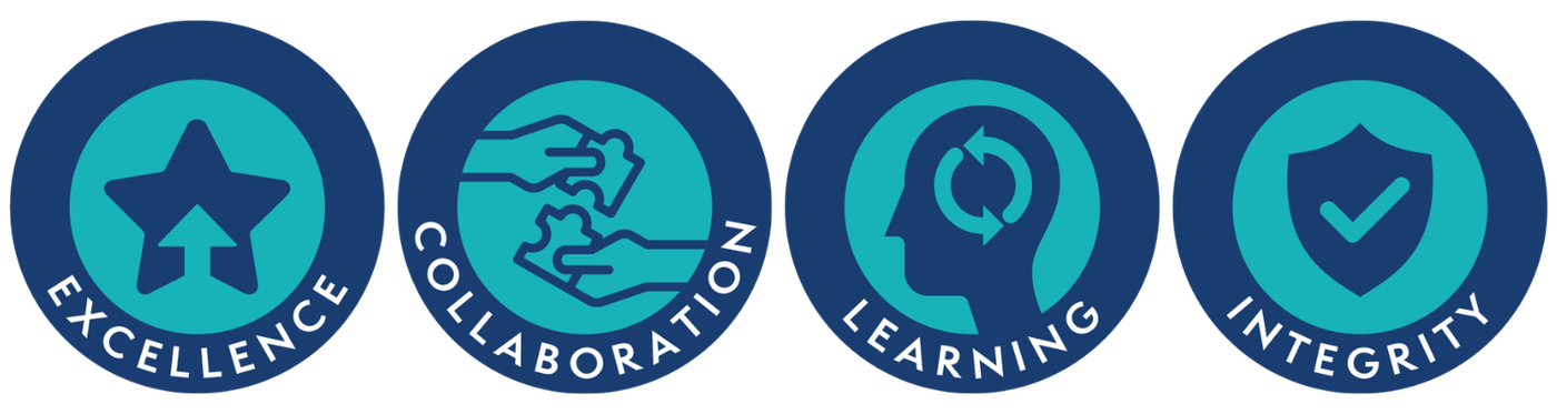MNSI Values banner
